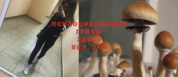 ALPHA-PVP Билибино