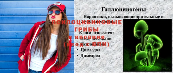 герыч Богородицк
