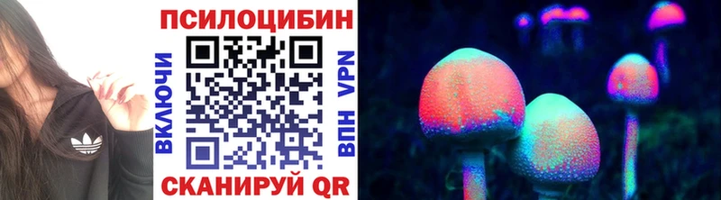 купить наркоту  Володарск  Галлюциногенные грибы Cubensis 